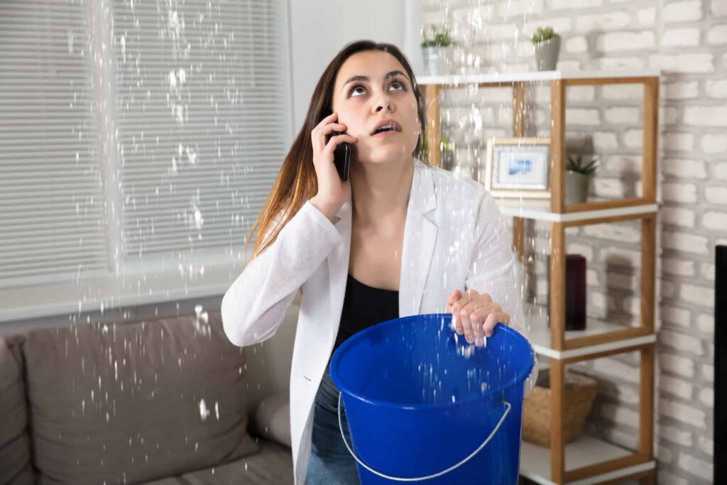 Woman Calling Plumber For Water Leakage At Home