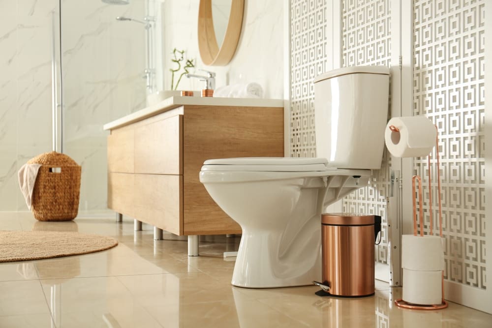 Read more about the article How to Replace a Toilet Flange